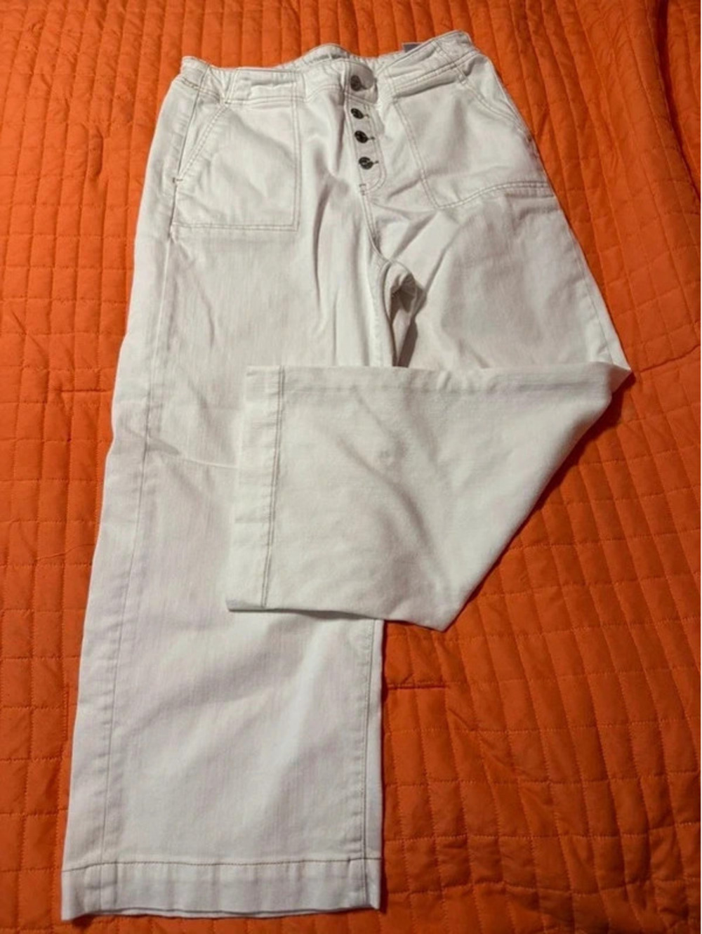 Chicos Pull-On, Stretch, Capri, wide-leg SZ 10